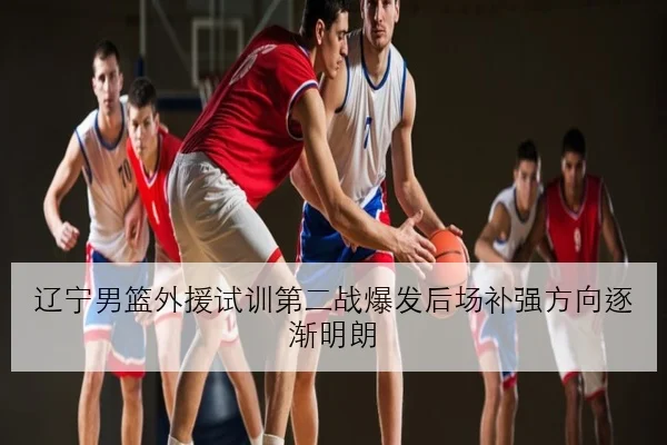 辽宁男篮外援试训第二战爆发后场补强方向逐渐明朗